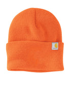Carhartt Dark Brown/Sandstone